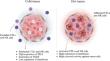 Shifting cold to hot tumors by nanoparticle-loaded drugs and products.