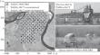 γ-Ray Detection with the TAIGA-IACT Installation in the Stereo Mode of Observation