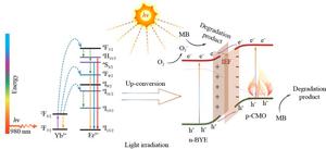 One stone, three birds: up-conversion, photothermal and p-n heterojunction to boost BiOBr:Yb3+,Er3+/Cu3Mo2O9 full spectrum photodegradation