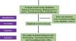 Neuroprotective Action of Selected Natural Drugs Against Neurological Diseases and Mental Disorders: Potential Use Against Radiation Damage