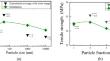 Size and Interface Effects on Tensile Strength of Polymers with Nano/Micro Particle Inclusions