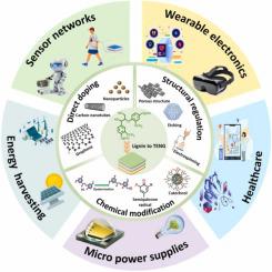 Lignin-derived materials for triboelectric nanogenerators with emphasis on lignin multifunctionality