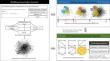 Studying the linkage patterns and incremental evolution of domain knowledge structure: a perspective of structure deconstruction