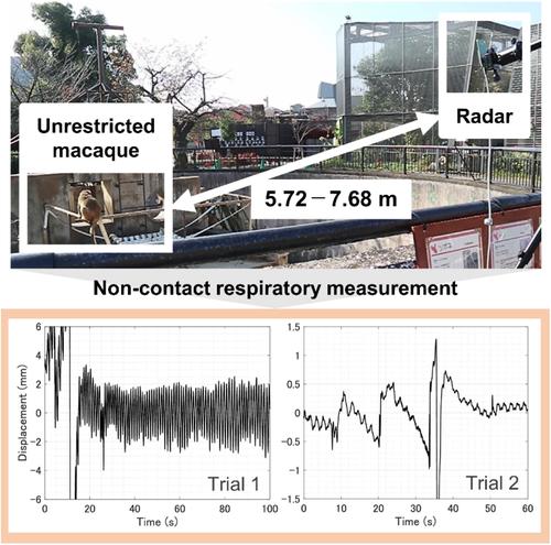 Outdoor noncontact respiratory measurements of unrestricted rhesus macaques (Macaca mulatta) using millimeter-wave radar