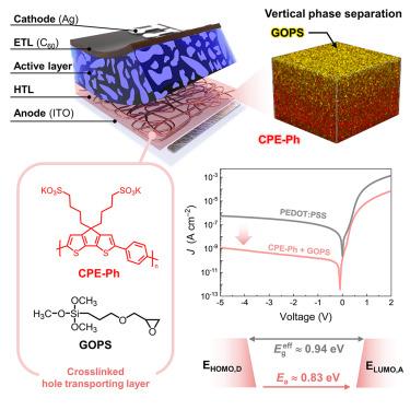 Ultralow dark current in near-infrared organic photodetector via crosslinked conjugated polyelectrolyte hole-transporting layer