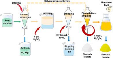 Efficient separation and comprehensive recovery of rare earth, bismuth and iron by one-step extraction and two-step stripping