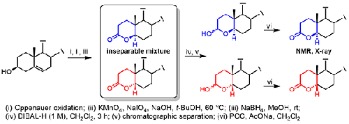 Diastereo-Divergent Synthesis of Ring A-lactones Derived From Cholesterol and Diosgenin. A Convenient Solution for an Old Problem. NMR and X-Ray Characterization