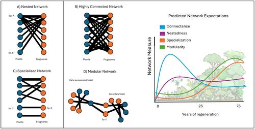 Seeding success: Integrating seed dispersal networks in tropical forest restoration