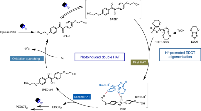 Photoinduced double hydrogen-atom transfer for polymerization and 3D printing of conductive polymer