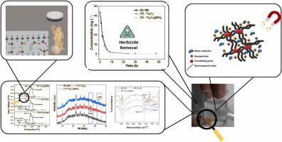 Development of magnetic nanocomposite hydrogels for removal of pesticide from water