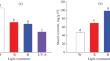 Influence of Light of Different Narrowband Light on the Key of Calvin Cycle and Antioxidant Enzyme, Secondary Metabolites and Microbial Communities in Soybeans