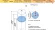 Cleanliness Improvement and Microstructure Refinement of As-Cast High-Nitrogen Stainless Bearing Steel by Magnesium Treatment