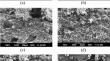 Exploring oil absorption and distribution in immersion-fried pantoa (Indian dairy dessert): effects of frying media