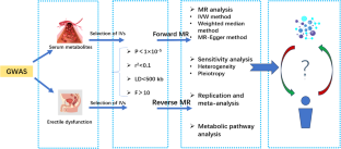 Exploring the causal association between serum metabolites and erectile dysfunction: a bidirectional Mendelian randomisation study.