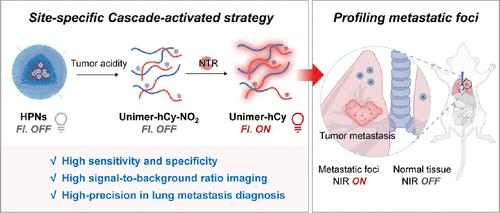 Site-Specific Cascade-Activatable Fluorogenic Nanomicelles Enable Precision and Accuracy Imaging of Pulmonary Metastatic Tumor