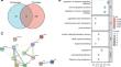 Cordycepin Ameliorates Psoriasis-Like Skin Lesion by Regulating p53/MDM2 Feedback Loop.