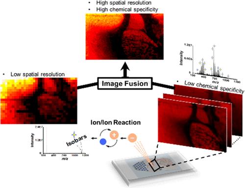 Enhancing Spatial Resolution in Tandem Mass Spectrometry Ion/Ion Reaction Imaging Experiments through Image Fusion.