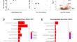 A Switch from Glial to Neuronal Gene Expression Alterations in the Spinal Cord of SIV-infected Macaques on Antiretroviral Therapy.