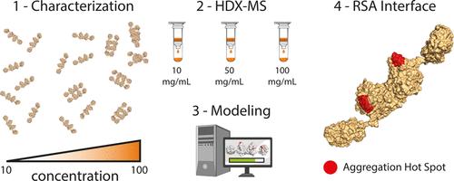 Elucidation of the Reversible Self-Association Interface of a Diabody-Interleukin Fusion Protein Using Hydrogen-Exchange Mass Spectrometry and In Silico Modeling.