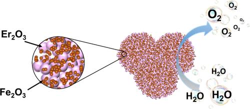 Influence of Er2O3 Nanoclusters on Transition Metal Oxide Nanostructures in Water Oxidation