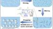 Porous carboxymethylcellulose/polyethyleneimine composite beads: formation process, enhanced physical properties, and pH-induced response mechanism