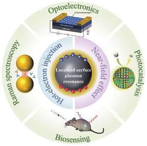 Localized surface plasmon resonance enhanced photodetector: Physical model, enhanced mechanism and applications