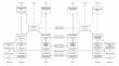 Clinical and structural disconnectome evaluation in a case of optic aphasia.