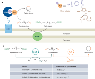 Microbial cell factories for cycloalkene synthesis