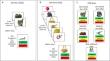 Working memory limitations constrain visual episodic long-term memory at both specific and gist levels of representation.