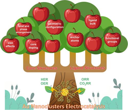 Structure–performance relationship of Au nanoclusters in electrocatalysis: Metal core and ligand structure