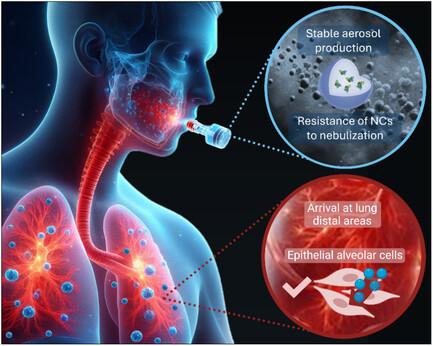 Efficient Nebulization and Pulmonary Biodistribution of Polymeric Nanocarriers in an Acute Lung Injury Preclinical Model