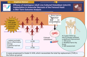 Efficacy of Autologous Adult Live-Cultured Osteoblast (AALCO) Implantation in Avascular Necrosis of the Femoral Head: A Mid-Term Outcome Analysis