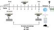 Accumulated HIIT inhibits anxiety and depression, improves cognitive function, and memory-related proteins in the hippocampus of aged rats.