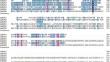 Genome-wide identification and expression analysis of the BZR gene family in Zanthoxylum armatum DC and functional analysis of ZaBZR1 in drought tolerance.