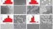 Ultrasonic sonication assisted in sol–gel stӧber and reverse microemulsion method for fabrication of silica nanoparticles and the potential application in agriculture