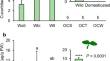 Cultivar-Specific Defense Responses in Wild and Cultivated Squash Induced by Belowground and Aboveground Herbivory.