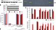 A cytosol-tethered YHB variant of phytochrome B retains photomorphogenic signaling activity.