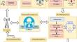 SCIDP–Secure cloud-integrated data dissemination protocol for efficient reprogramming in internet of things