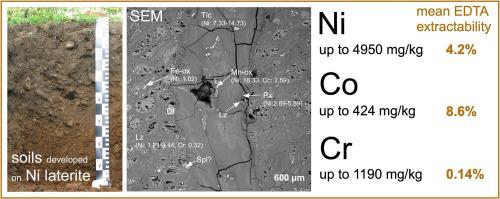 Nickel, chromium, and cobalt in soils developed on nickel laterites near an abandoned mining area in southern Czech Republic