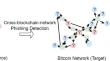 Phishing behavior detection on different blockchains via adversarial domain adaptation