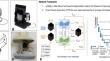 Optimizing anterior urethral stricture assessment: leveraging AI-assisted three-dimensional sonourethrography in clinical practice.