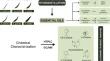 Bioprospecting and Repurposing of Leaf Biomass to Support Sustainable Biopharmacy: Evaluation of Seasonal Chemical Variations and Biological Activities of Six Eucalyptus Essential Oils