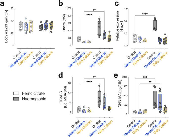 Calcium-rich dairy matrix protects better than mineral calcium against colonic luminal haem-induced alterations in male rats