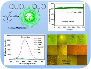 Organoselenium-based quinoline sensor for superoxide detection and its antitumor activities