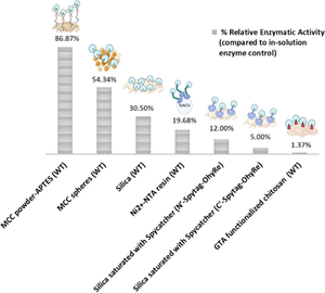 Immobilization study of a monomeric oleate hydratase from Rhodococcus erythropolis