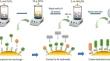 Synthesis of calcium and iron oxide/hydroxide bifunctional materials for treating phosphate and hardness in water