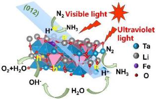 Iron-doping regulated light absorption and active sites in LiTaO3 single crystal for photocatalytic nitrogen reduction