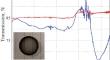 Femtosecond Cr2+:ZnSe Laser with Mode-Locking Based on Carbon Nanotubes