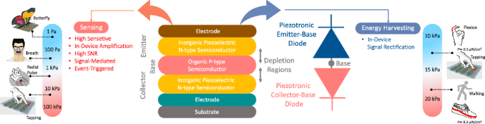 Organic-inorganic hybrid piezotronic bipolar junction transistor for pressure sensing.