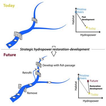 Strategic restoration-development mitigates tradeoffs between hydropower and fish habitat fragmentation in the Mekong